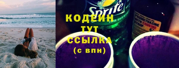 шишки Абаза