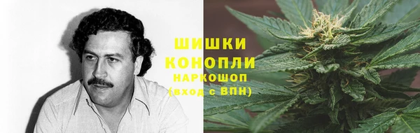 шишки Абаза