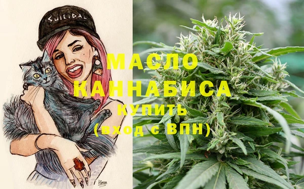 шишки Абаза