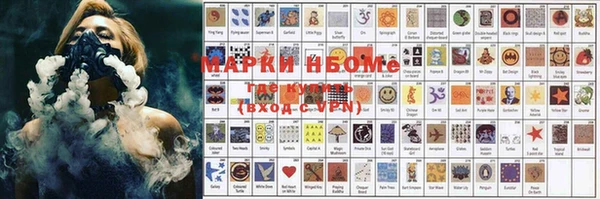 шишки Абаза