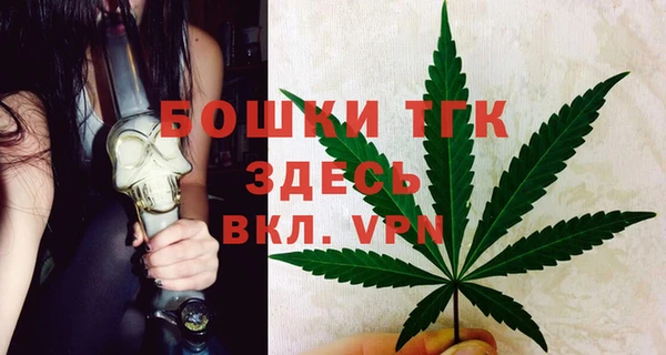 сатива Покровск