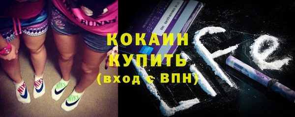 дурь Покачи