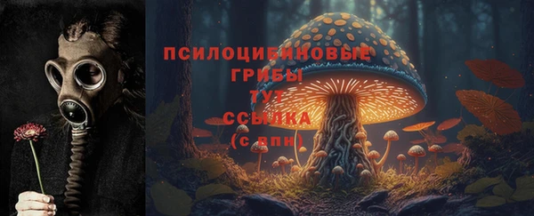 мяу мяу мука Абдулино