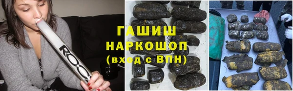 шишки Абаза